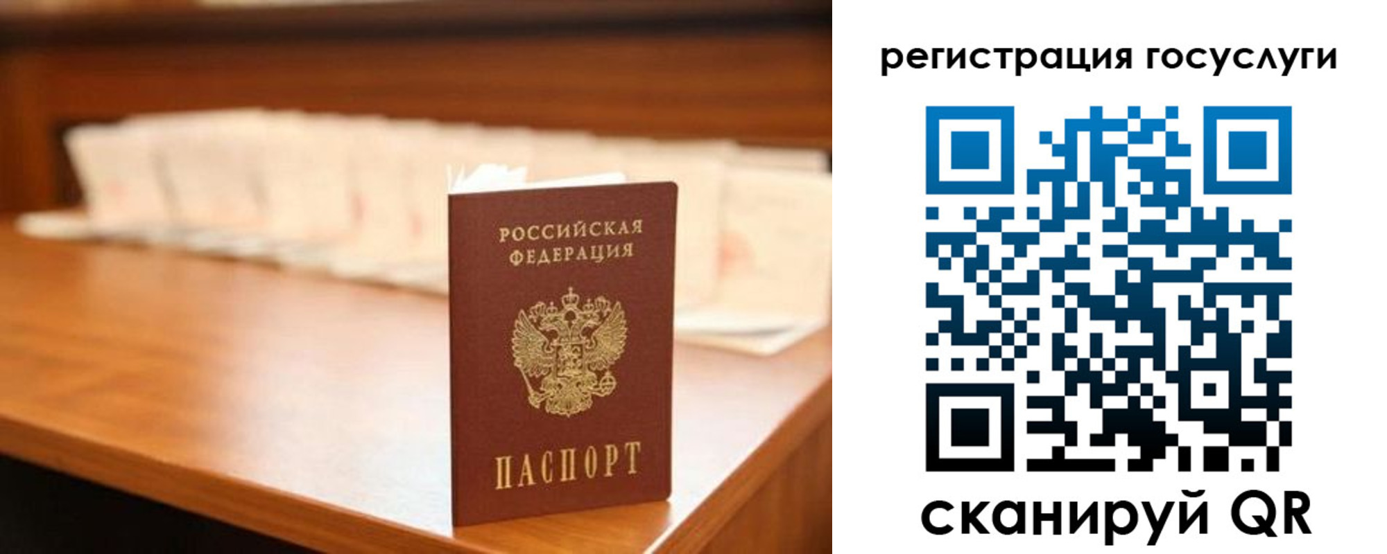 прописка в квартире в Новгородской области