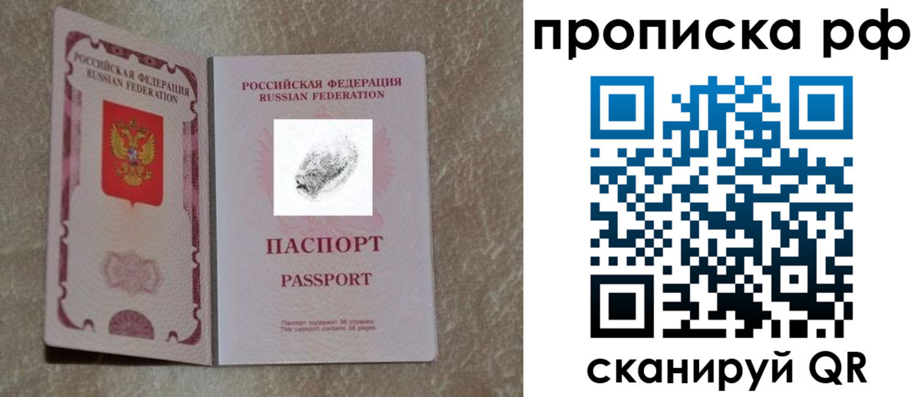 прописка поиск в Новгородской области