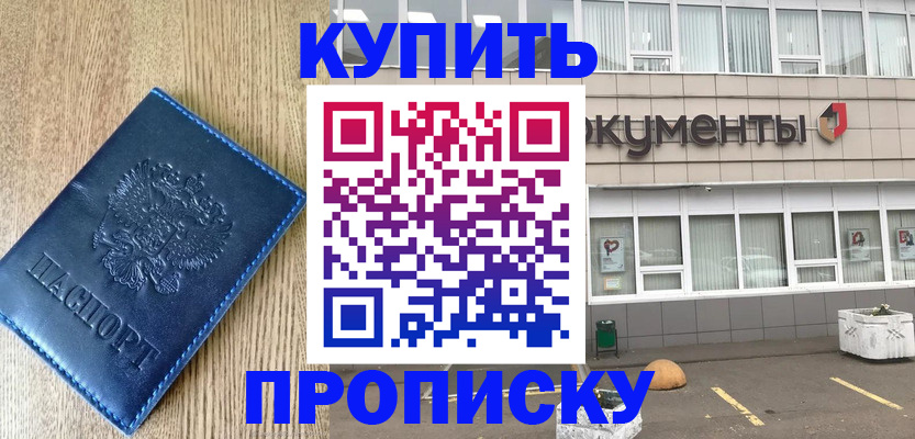 временная регистрация поиск в Новгородской области